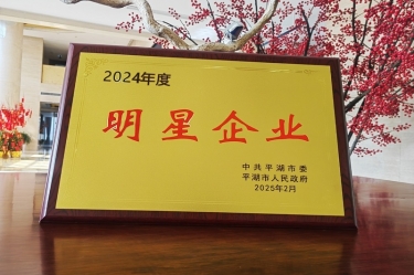 新春新景新氣象 | 景興紙業(yè)在平湖三干大會上喜摘榮譽！